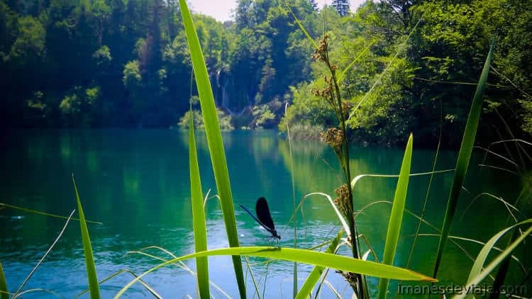 Plitvice Lakes 4