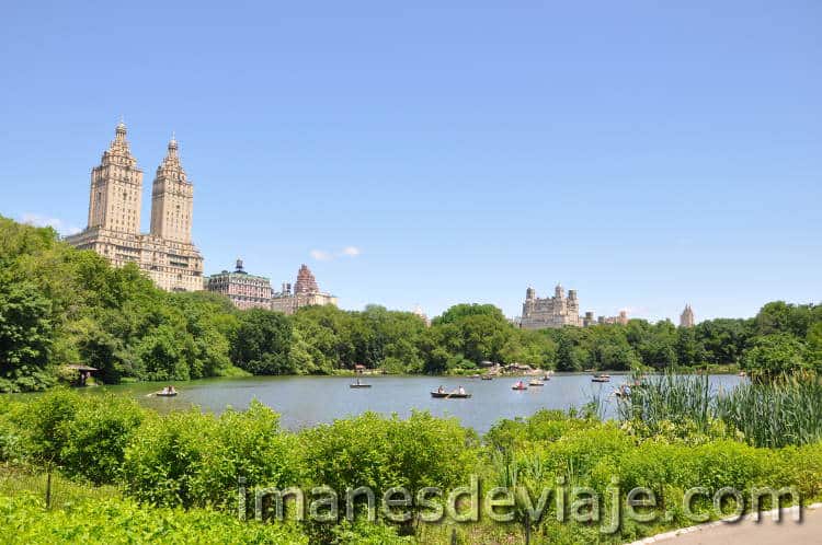 Nueva York. Central Park 2