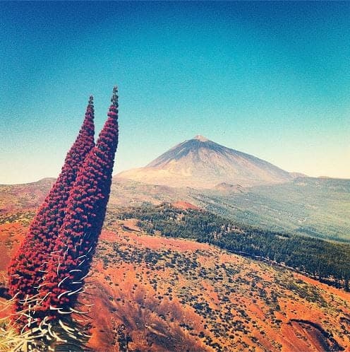 que hacer islas canarias 5