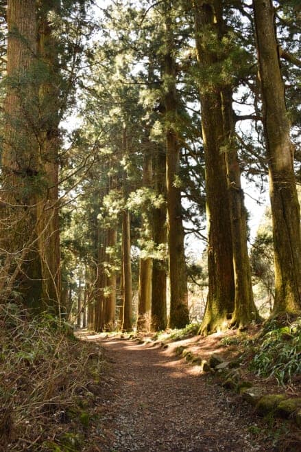 que ver y hacer en hakone