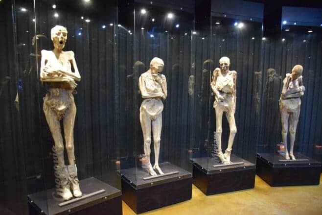 que ver en Guanajuato museo de las momias