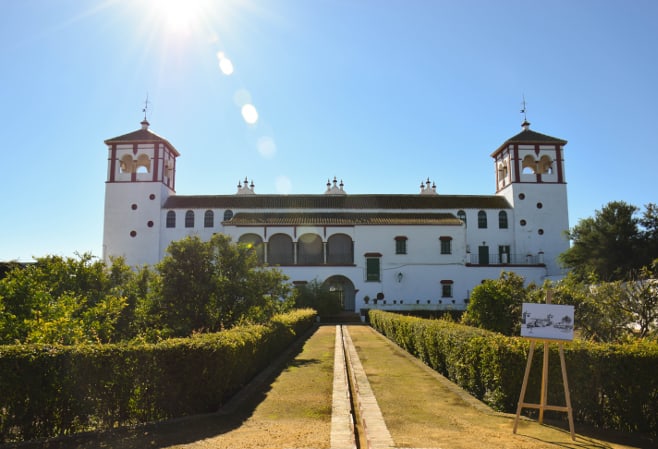 oleoturismo en sevilla hacienda guzman