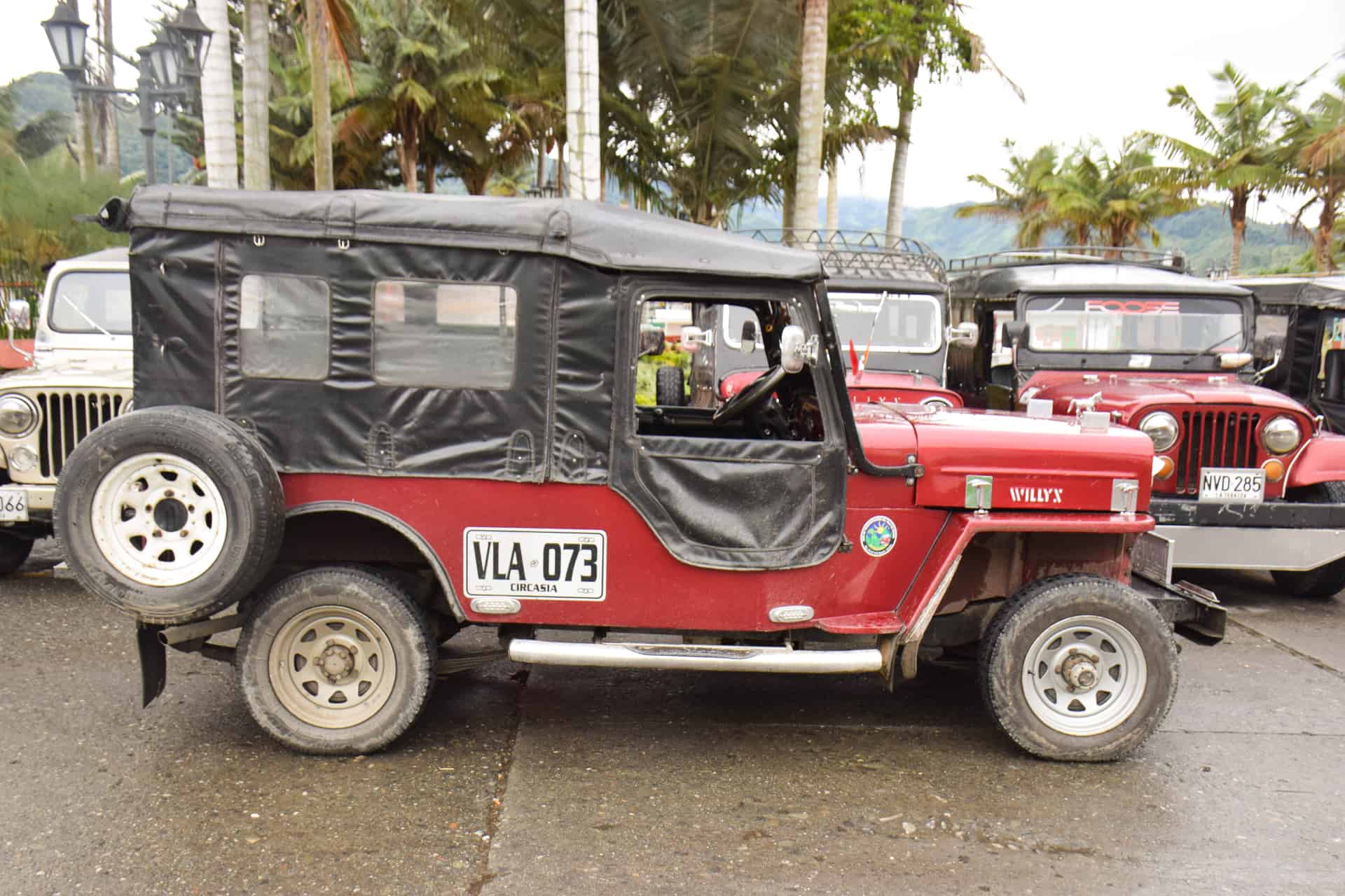 que ver en el eje cafetero valle del cocora