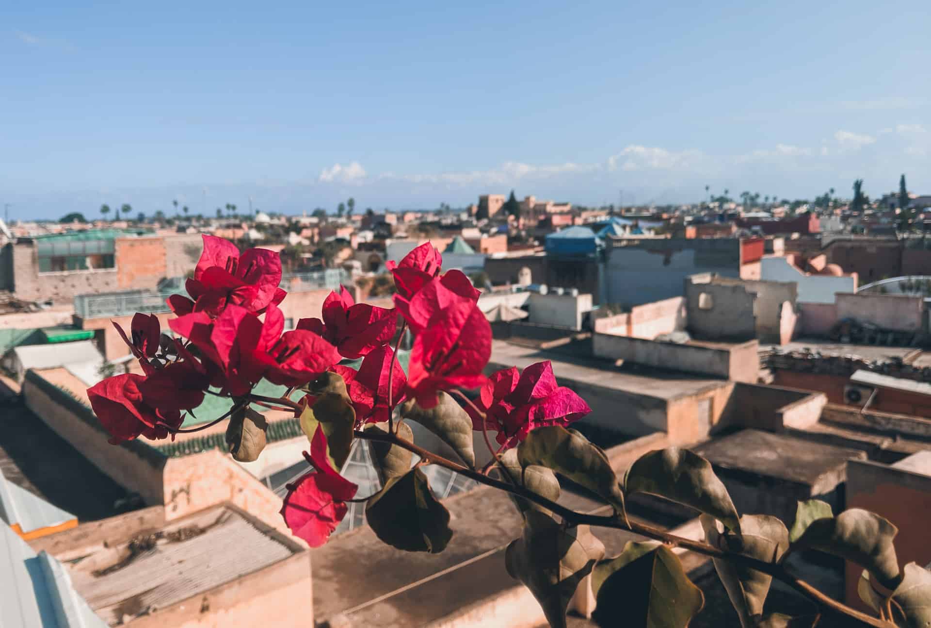 where to eat in Marrakech rooftops and restaurants