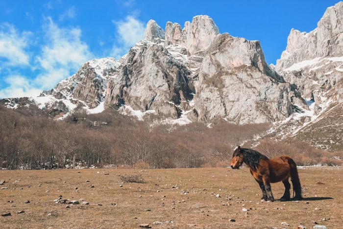 que ver cerca de colombres potes
