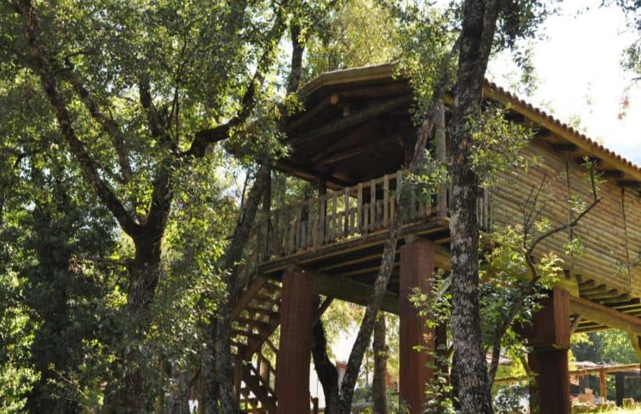 hoteles originales de andalucia casa arbol