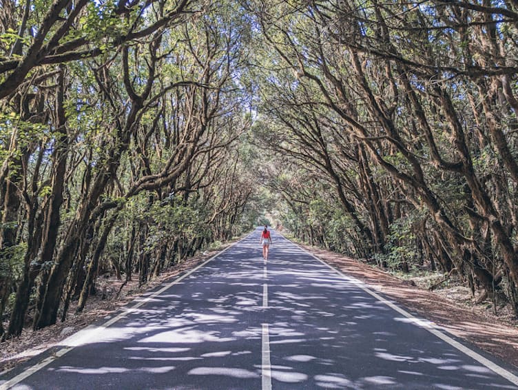 consejos para viajar a la gomera garajonay