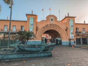 17 lugares que ver en Santa Cruz de Tenerife ️ - Imanes de viaje