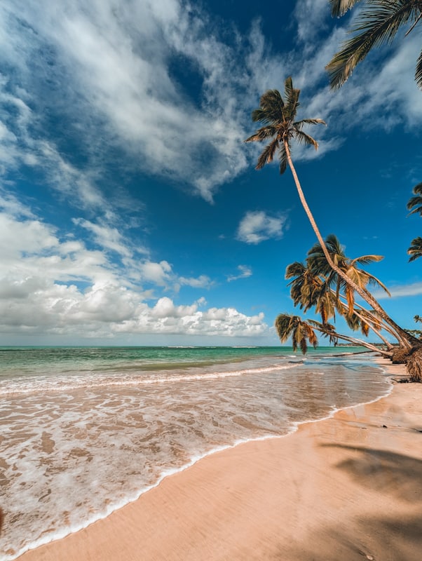 mejores playas de republica dominicana  playa coson