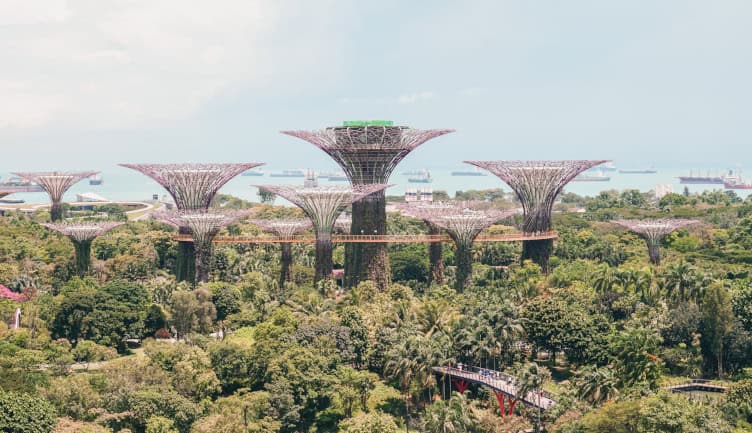 consejos para viajar a singapur