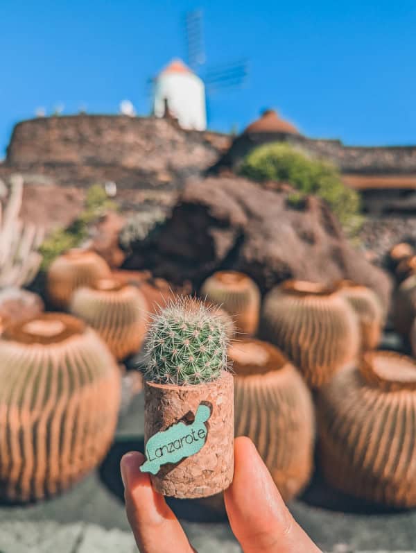 ruta por lanzarote en 4 dias jardin del cactus