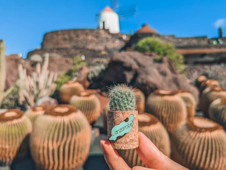 lanzarote con bebe jardin del cactus